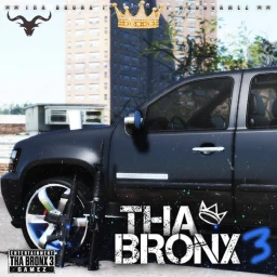THA BRONX 3